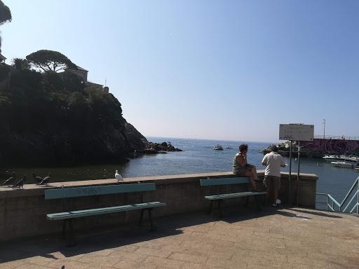 Diving Nervi ITC Diving Nervi ITC