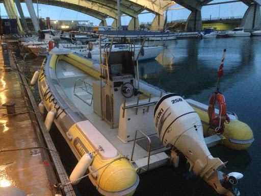 Sub Tribe By ASD Pro Secco