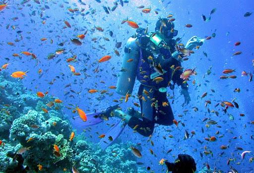 H2BO A.S.D. - Scuola di subacquea, apnea e hockeysub H2BO A.S.D. - Scuola di subacquea, apnea e hockeysub