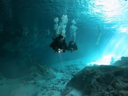 Gioia Dive Scuola Subacquea Corsi Sub Milano Gioia Dive Scuola Subacquea Corsi Sub Milano