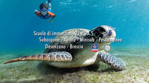 Tritone Sub Tritone Sub