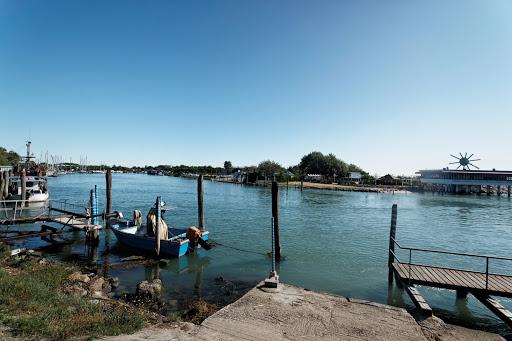 Diving nord Adriatico