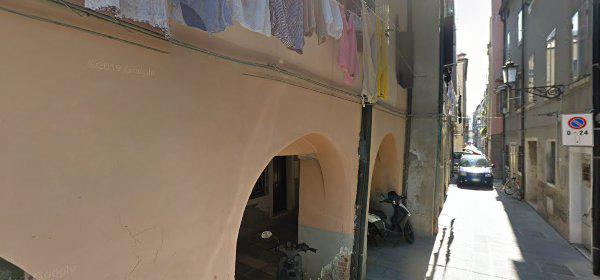 Sea Lion Centro Sub Di Bondesan Cristina