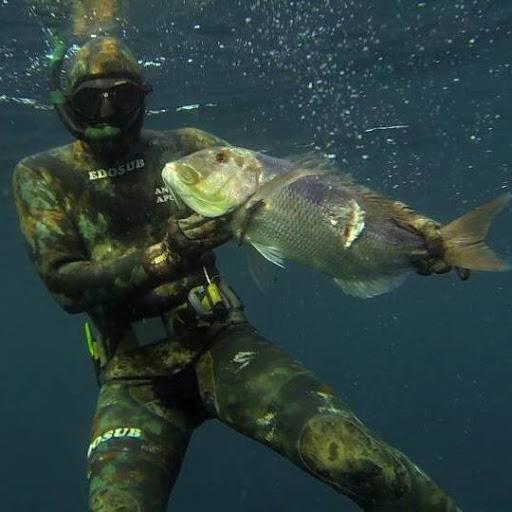 Edosub Di La Rocca Edoardo