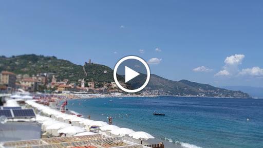 Nemo's garden by OceanReef