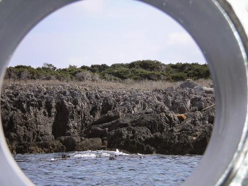Ocean Sub Modena A.D.