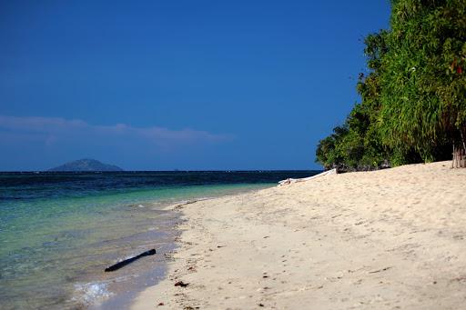 L'Aquila di Mare - Scuola Sub