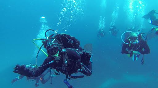 MARCHE-SUB Scuola Subacquea