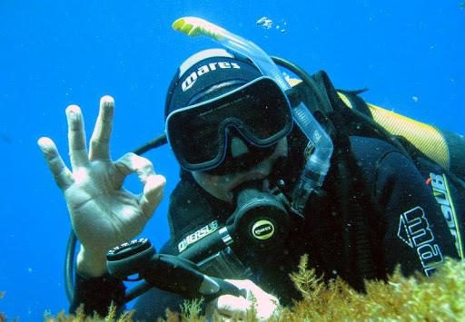 Scuola Sub Immersion Diving School Bisceglie Scuola Sub Immersion Diving School Bisceglie