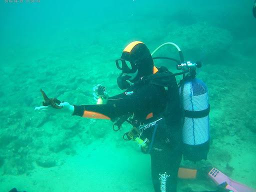 La scuola del mare La scuola del mare