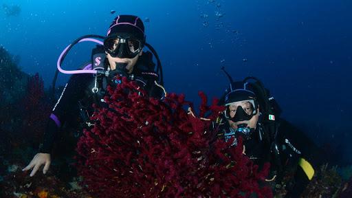 Gnu Diving Salento Gnu Diving Salento