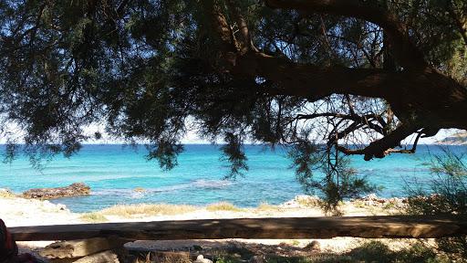 Diving Paradise Diving Paradise