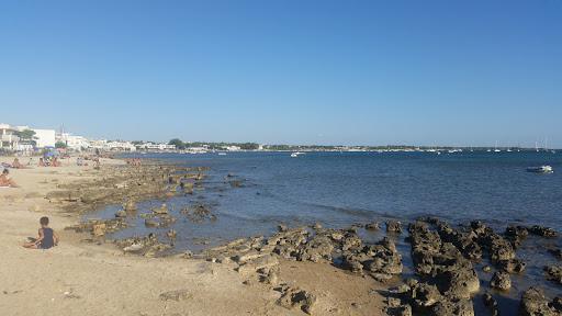 Tutto Pesca Di Greco Luigina Tutto Pesca Di Greco Luigina
