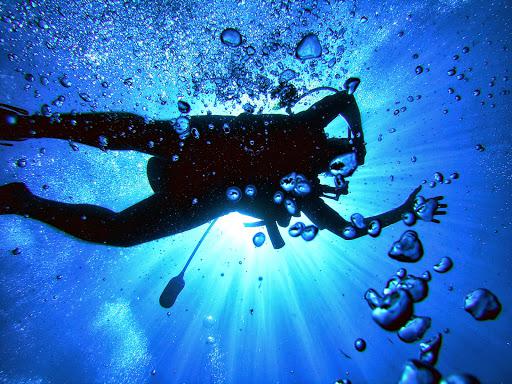 Diving Service Diving School and Diving Center Diving Service Diving School and Diving Center