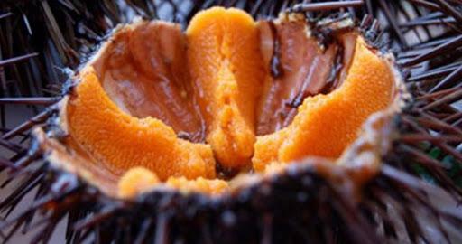 Byron Sea Escursioni Grotte Gite in Barca Leuca Byron Sea Escursioni Grotte Gite in Barca Leuca