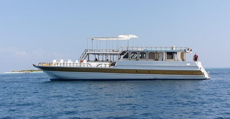 Flying Fish compressa 768x397