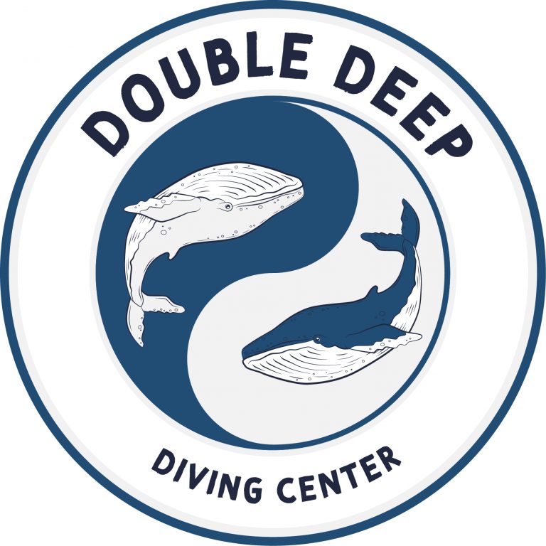 Logo double deep scuro 768x768