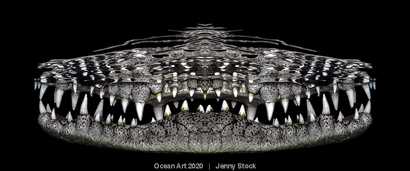 ocean art underwater 2020