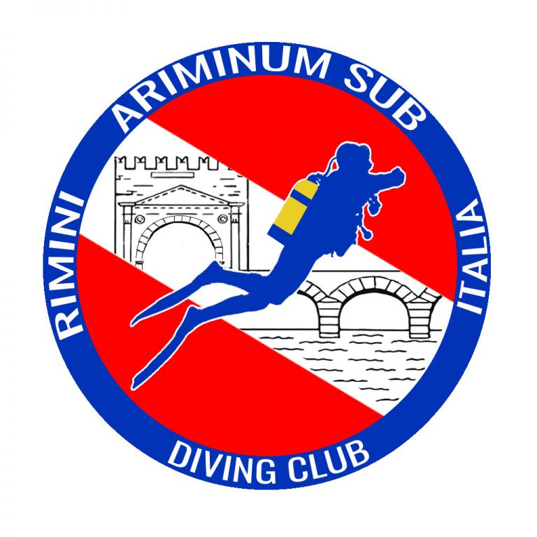 LOGO ARIMINUM hd 768x768
