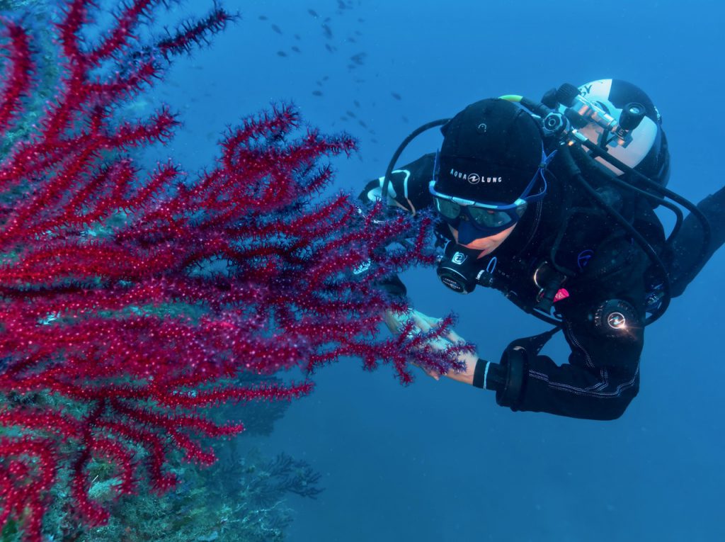 Aqua Lung partner del DAN Sustainable Tour