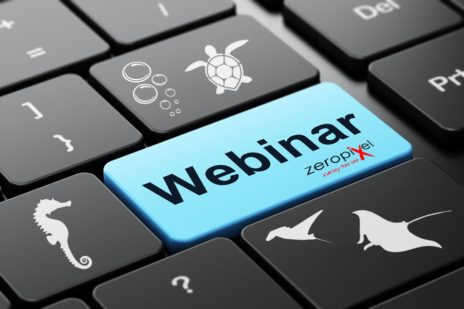 webinar pesci pagliaccio