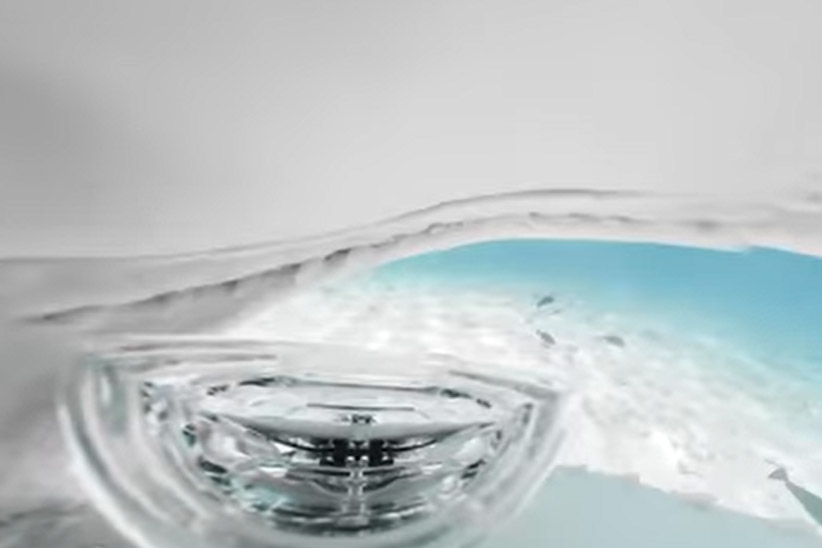 squalo tigre mastica