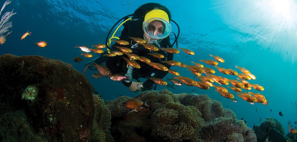 guida per sub principiante