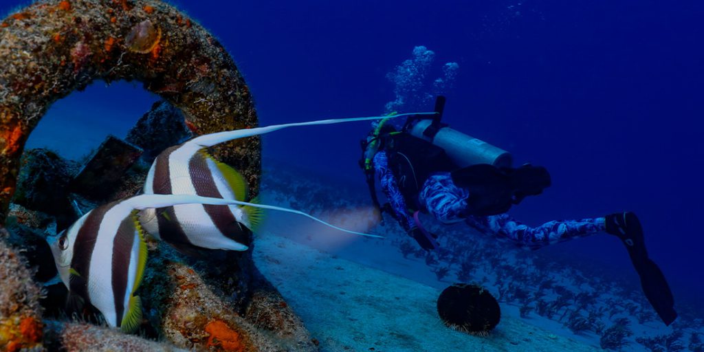 Scuba diver immersione