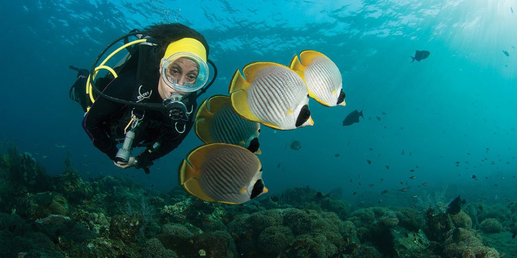 Subacquea a la spezia