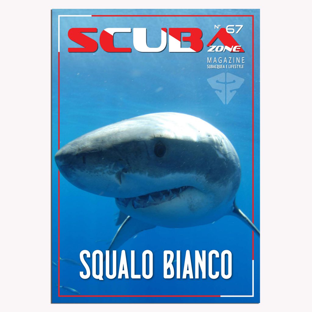 scubazone 67 lo squalo bianco