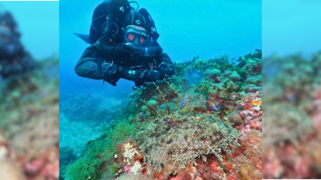 Visibilità durante le immersioni invernali