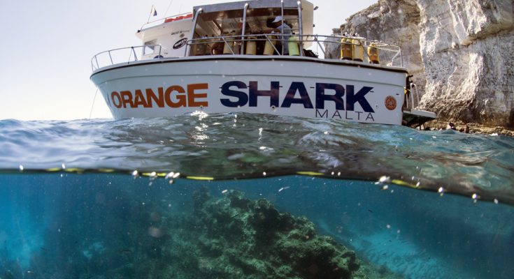 orange shark diving center italiano a malta con barca per sub paola one