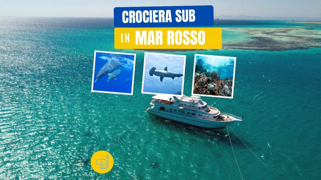 crociera in mar rosso con albatros top boat