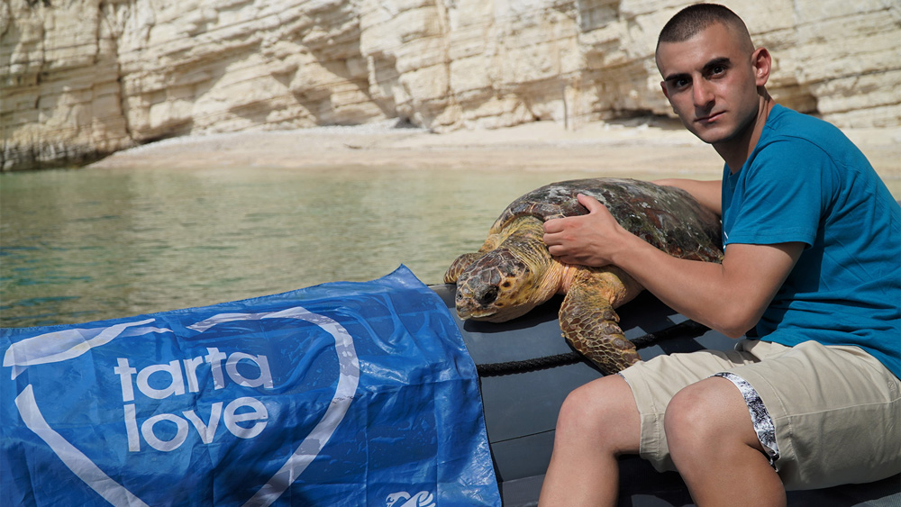 colnaghi libera tartaruga marina curata in mare