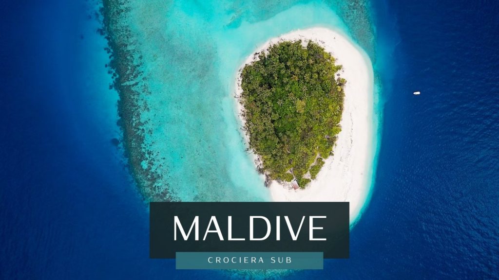 hanifaru maldive subacquea atollo