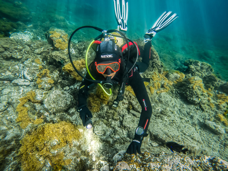 Immersione nella barriera con muta seac club 7 mm