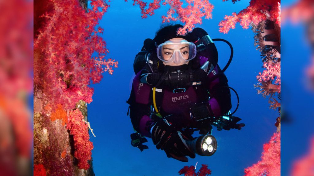 Torce subacquee mares eos