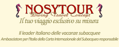 logo nosytour