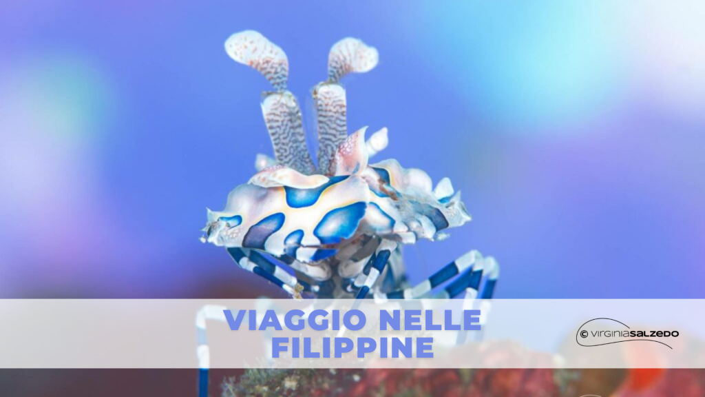 Viaggio subacqueo nelle filippine
