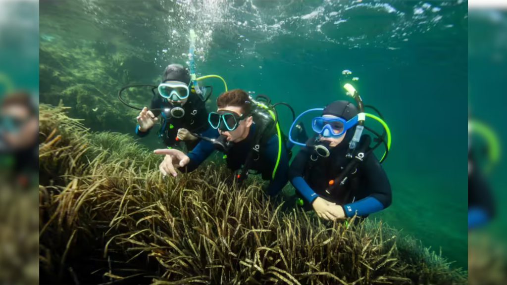 decathlon muta 5 mm 500