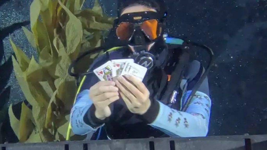 Avery magia sub record 38