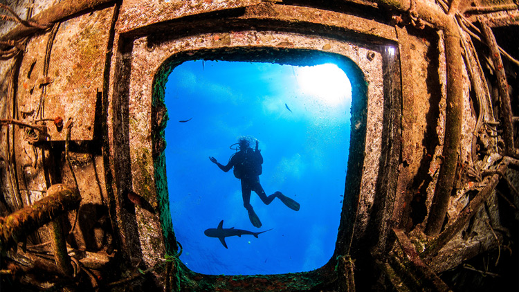 Bahamas-relitto-immersione