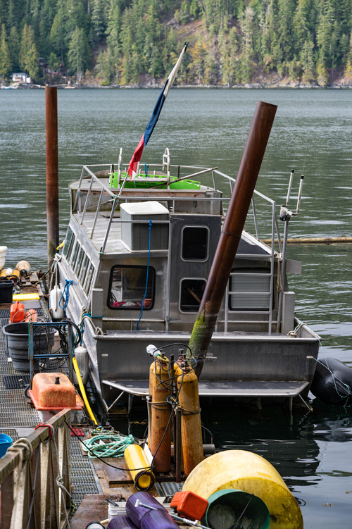 Immersioni subacquee con Porpoise Bay Charters imbarcazione bombole