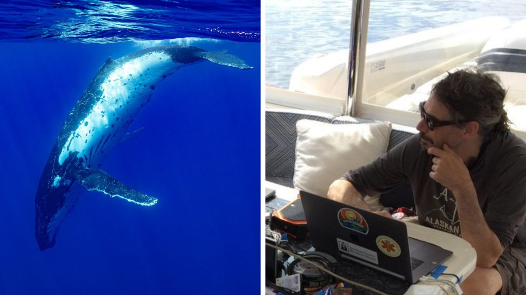 megattera conversazione