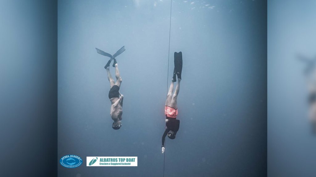 Crociera apnea albatros