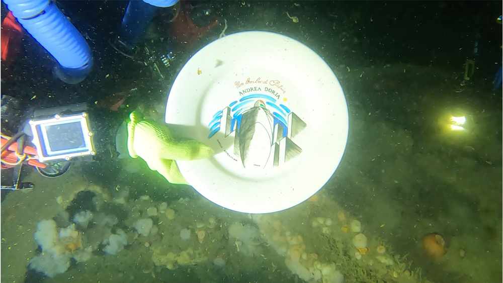 lembo-di-patria-andrea-doria-piatto