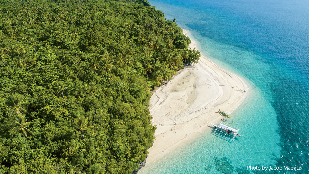 Filippine-dive-subacquea