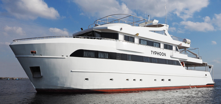 crociera arabia saudita sub