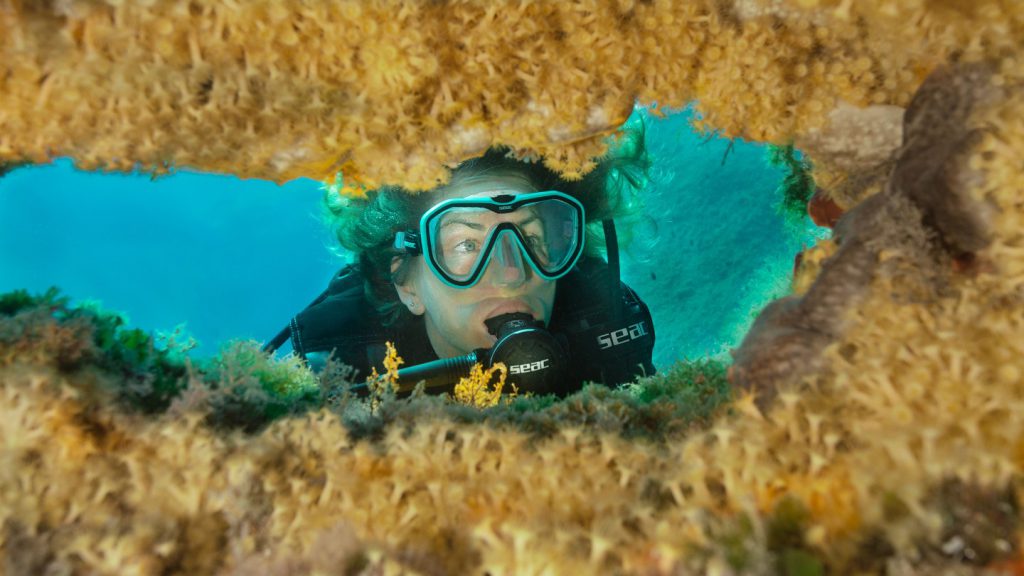 SEAC maschera appeal sub