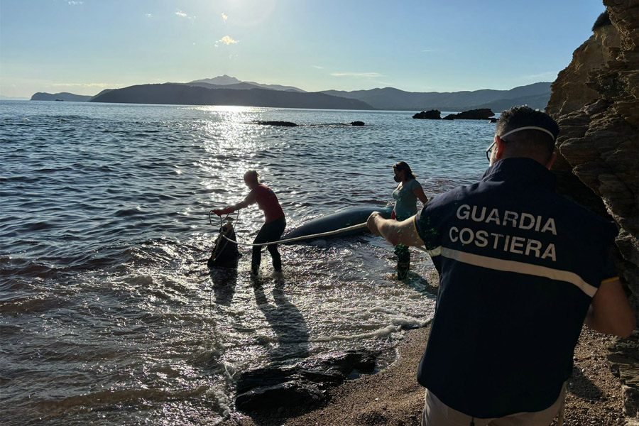 elba recupero delfino